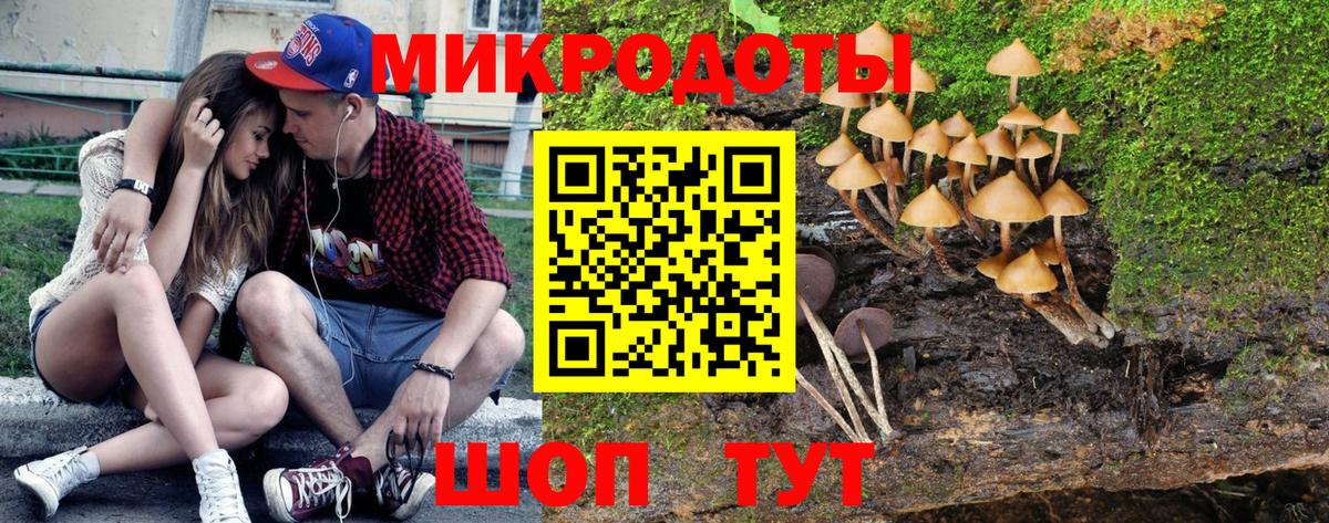 Галлюциногенные грибы MAGIC MUSHROOMS Горно-Алтайск