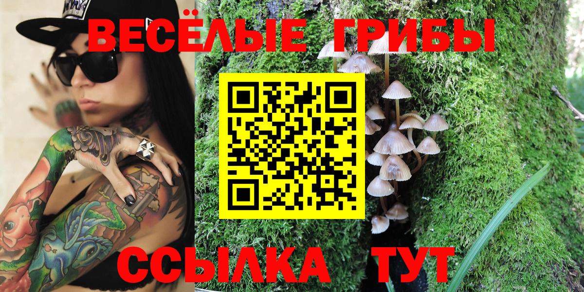 Галлюциногенные грибы Cubensis  цены   Горно-Алтайск  Псилоцибиновые грибы ЛСД 