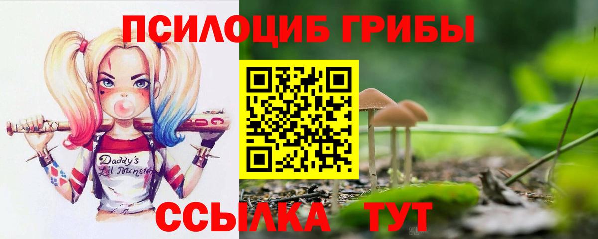 Псилоцибиновые грибы Psilocybine cubensis  Галлюциногенные грибы мухоморы  сколько стоит  Вход с VPN  Горно-Алтайск 