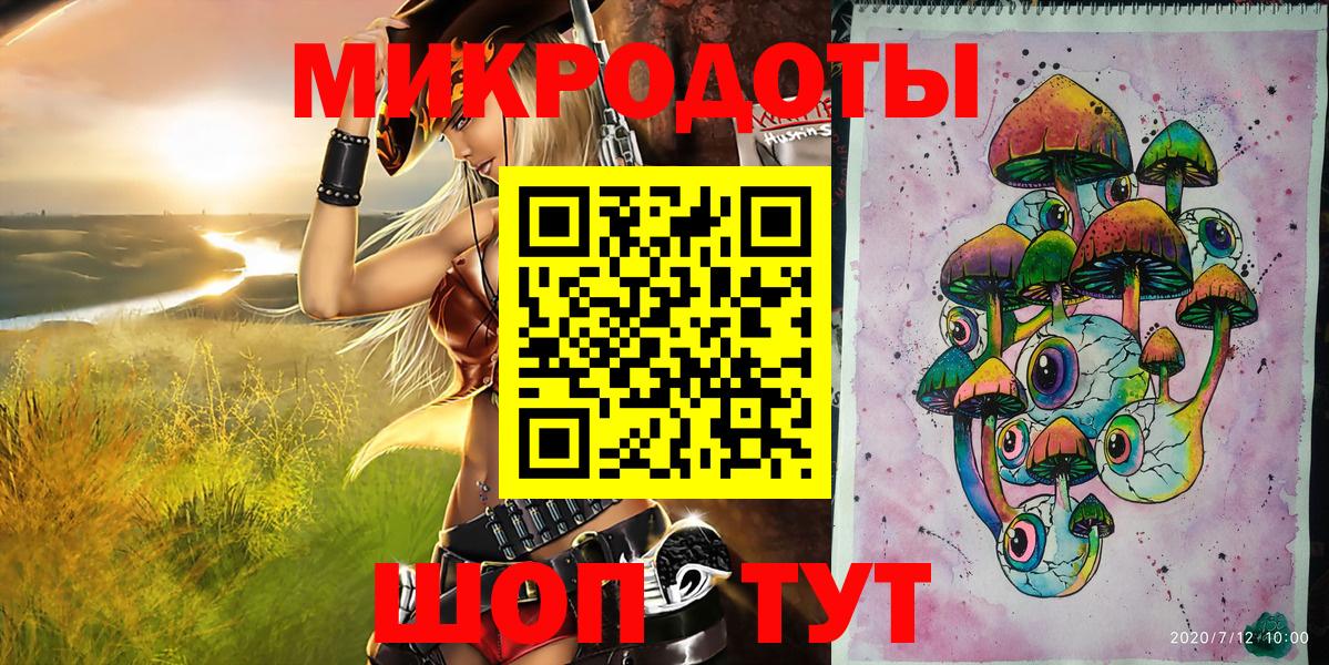 Псилоцибиновые грибы Psilocybine cubensis Горно-Алтайск